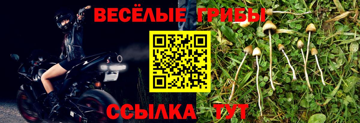 Новосибирск  Галлюциногенные грибы Magic Shrooms  купить наркотик  Псилоцибиновые грибы мухоморы  Вход с VPN 